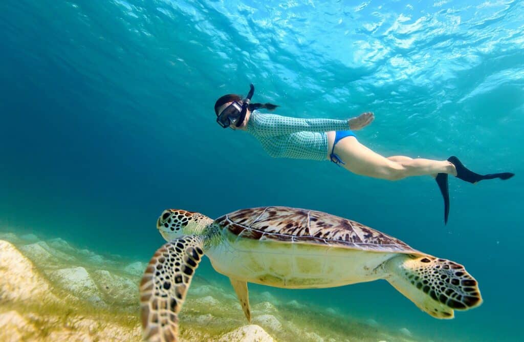 freediving mozambico, snorkeling